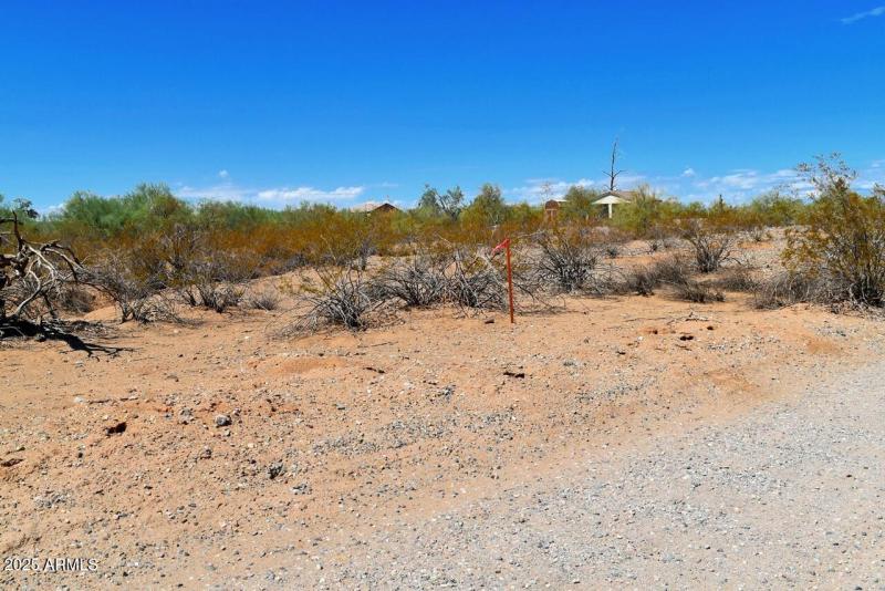 168th Ave Northeast Lot View