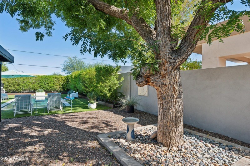 Lush desert-adapted landscape