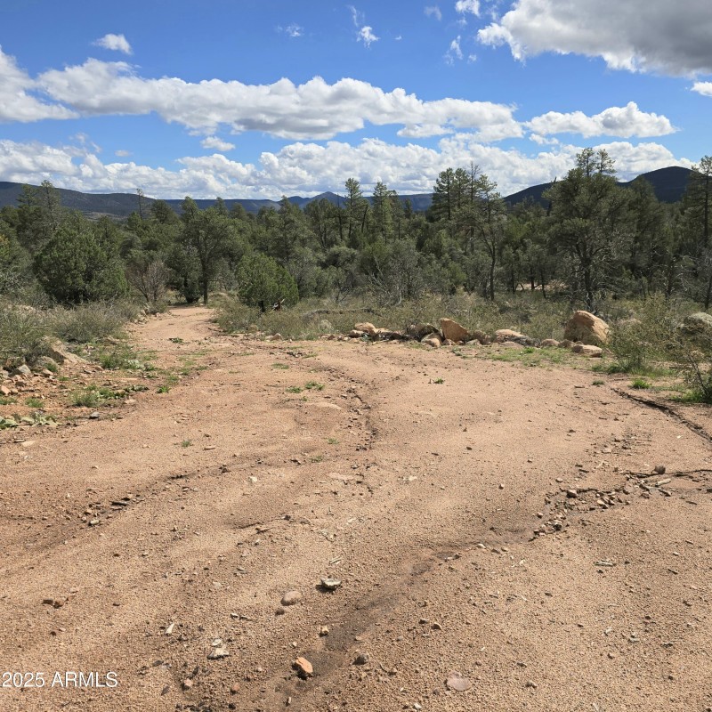 NW Pad & Drvwy to it