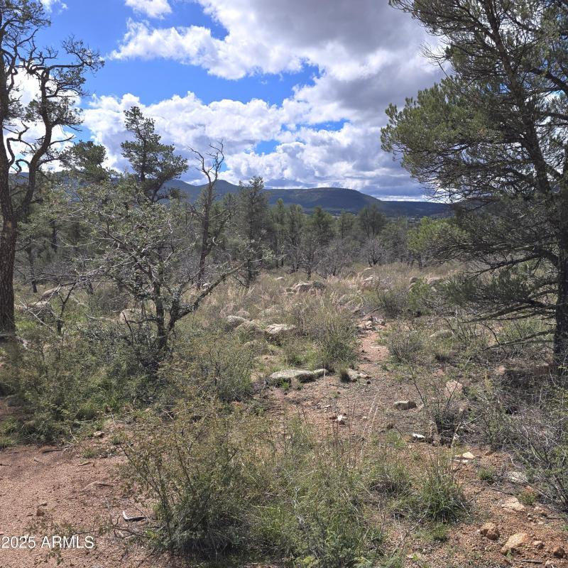 NW Bldg Pad View to SW