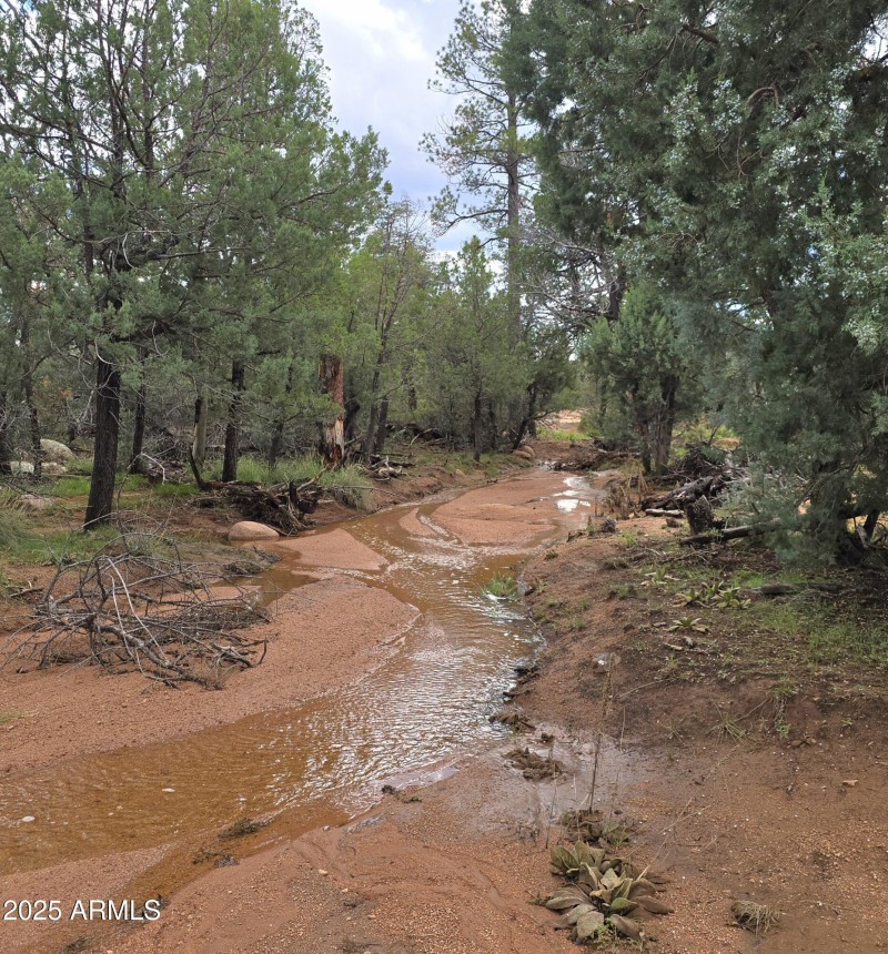 Wash Running 2025 Oct 14