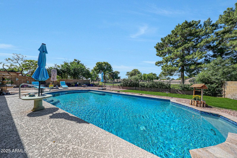 Grass (special exterior enhancement) (7)