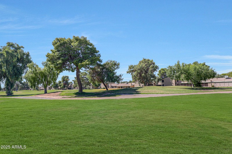 Grass (special exterior enhancement) (16