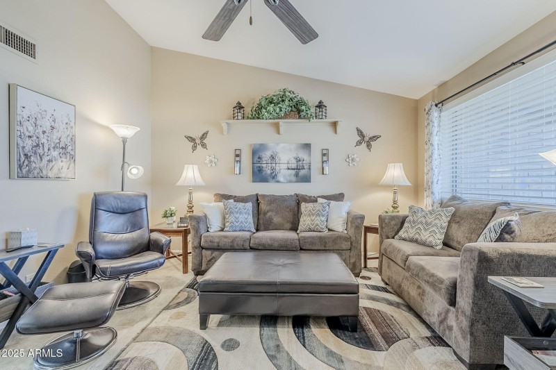 Vaulted Living Room