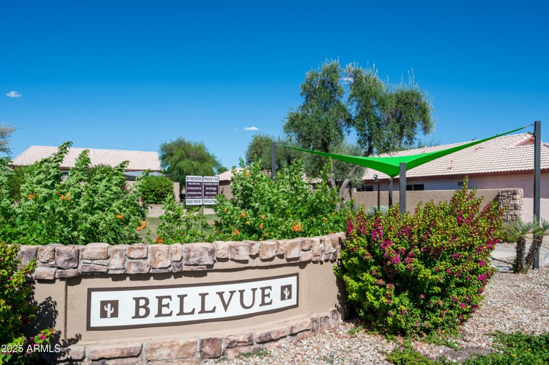 BELLVUE