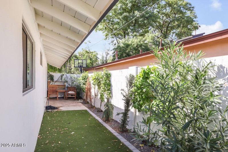 Side Yard
