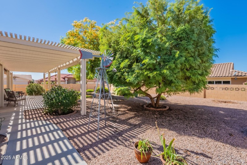 West-Facing Backyard