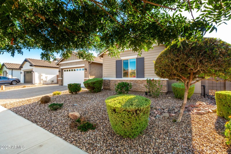 Front Yard