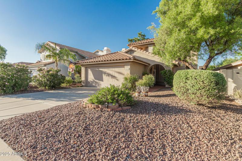 07 - Chuckwalla 4334