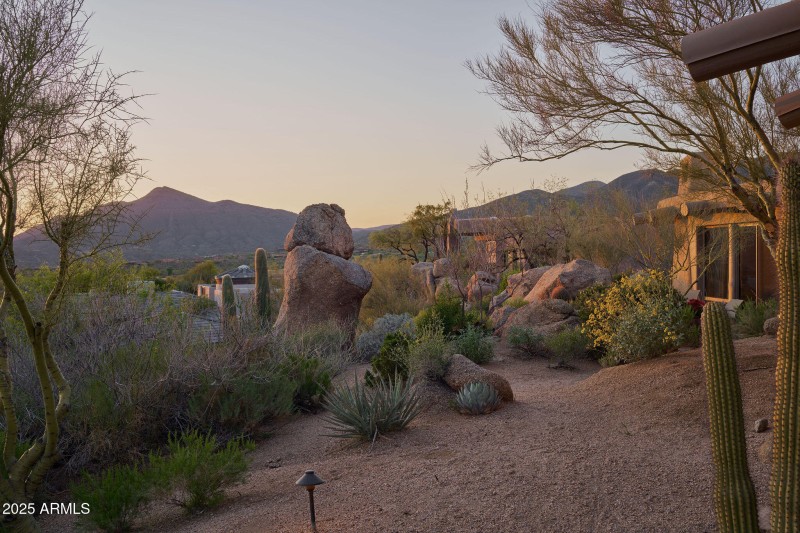 Desert views