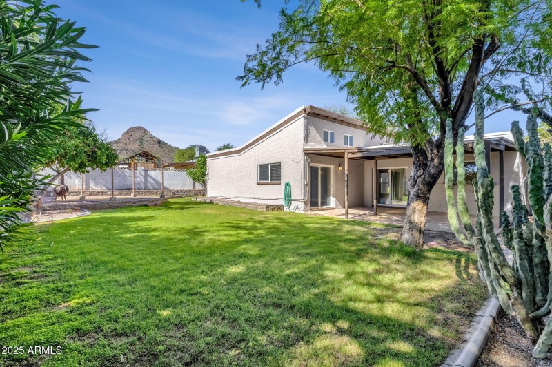 Backyard - 2041 Karen Drive