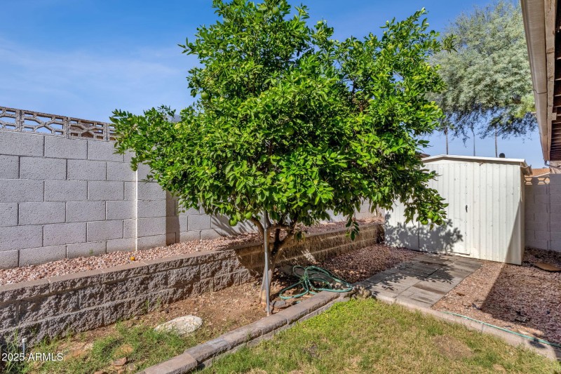 Backyard - 2041 Karen Drive