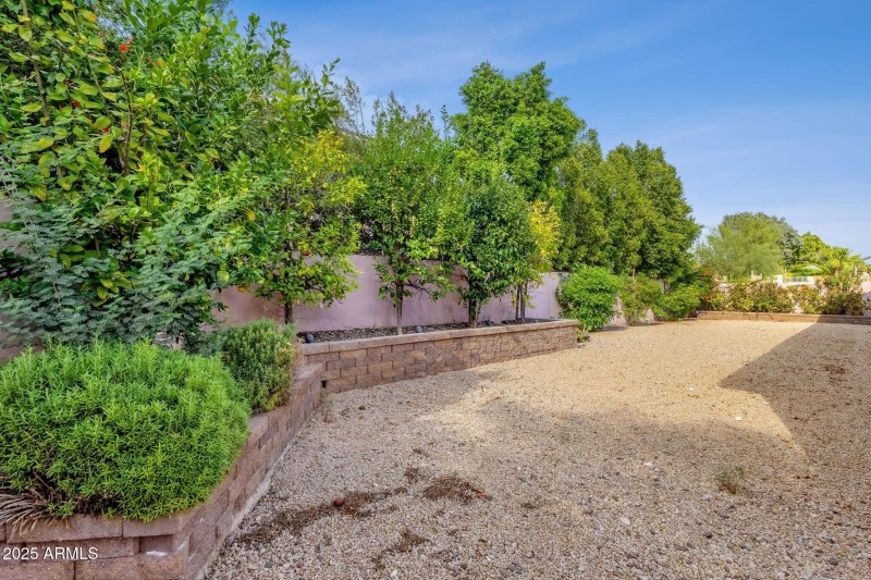 Backyard II
