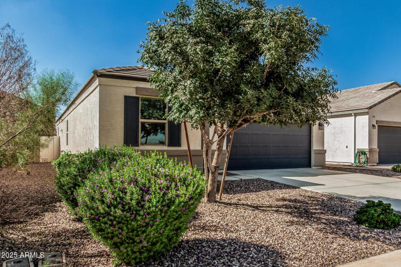 Mature Landscaping