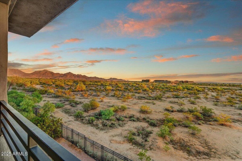 Patio View