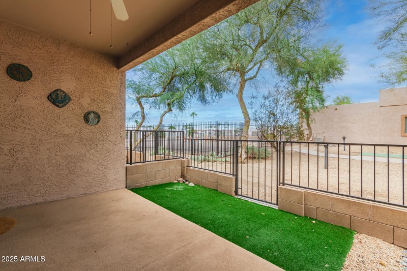 Back Patio
