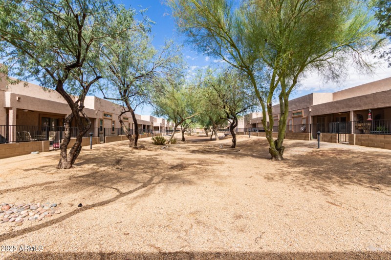 Common Area Behind
