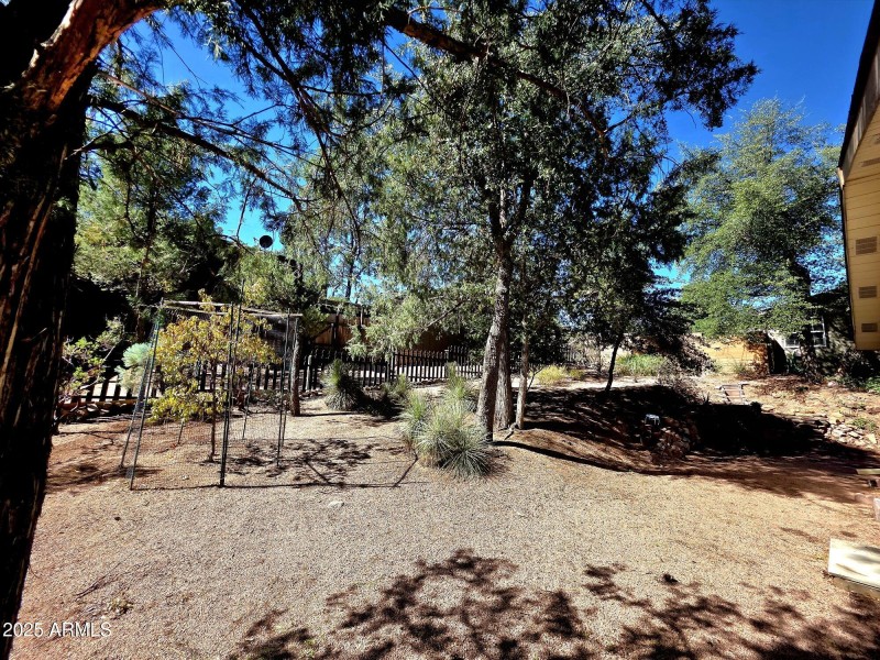 20251017_114007_resized