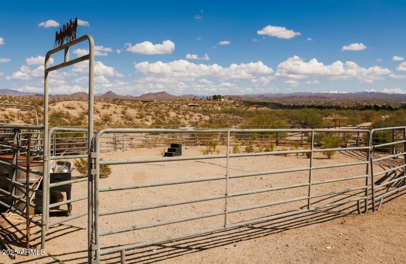 Generated-Image-September-30-2025-12_14P