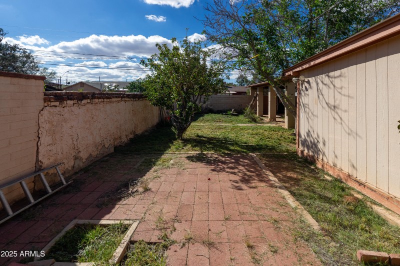 Side Yard and Patio
