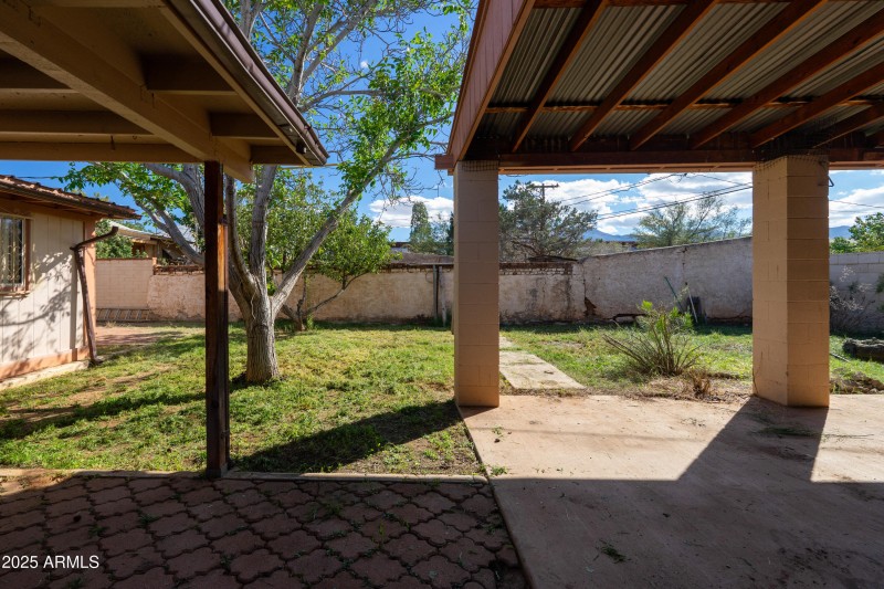 Back Yard