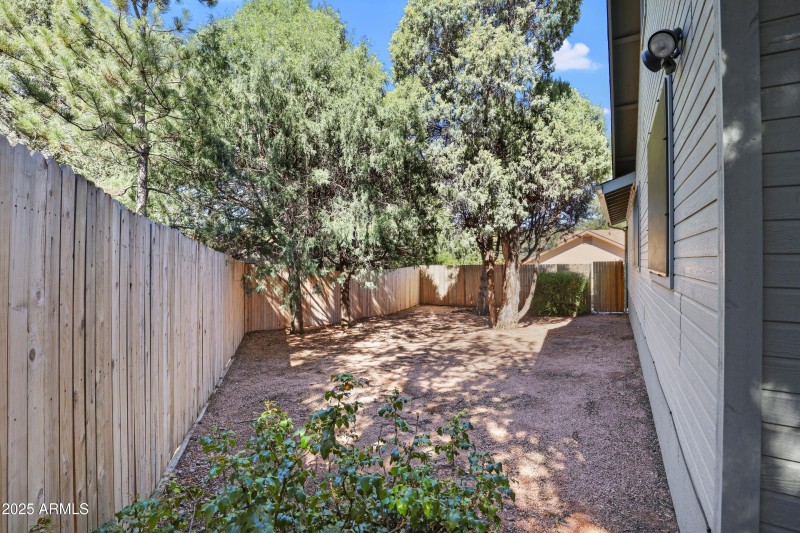 Back Yard (1)