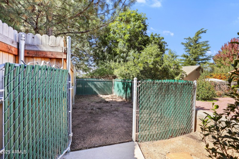 Dog Run