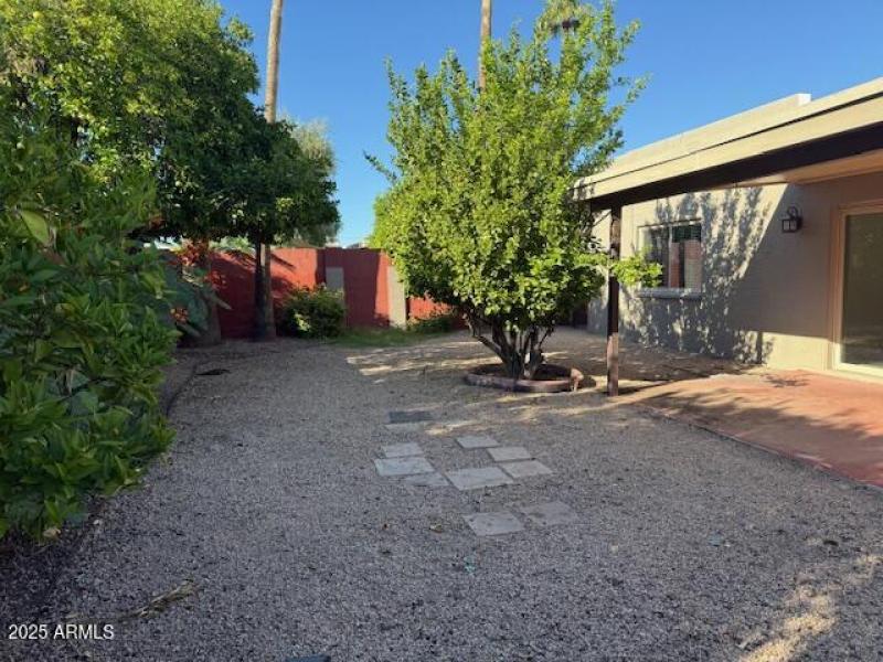 Villa Monterey - Backyard 2