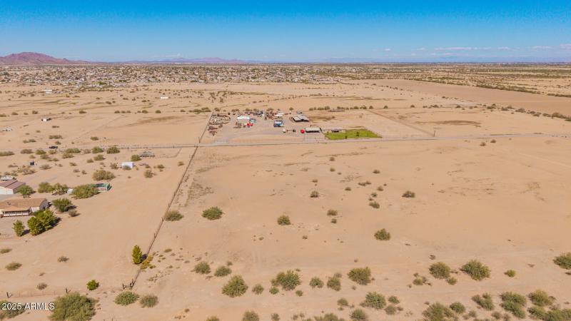 03 - 0 Pepper Tree Drone