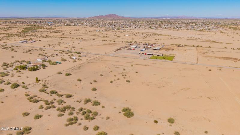 04 - 0 Pepper Tree Drone