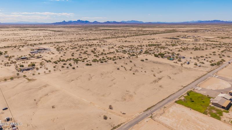 06 - 0 Pepper Tree Drone