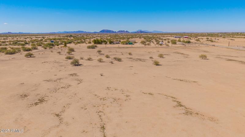 09 - 0 Pepper Tree Drone