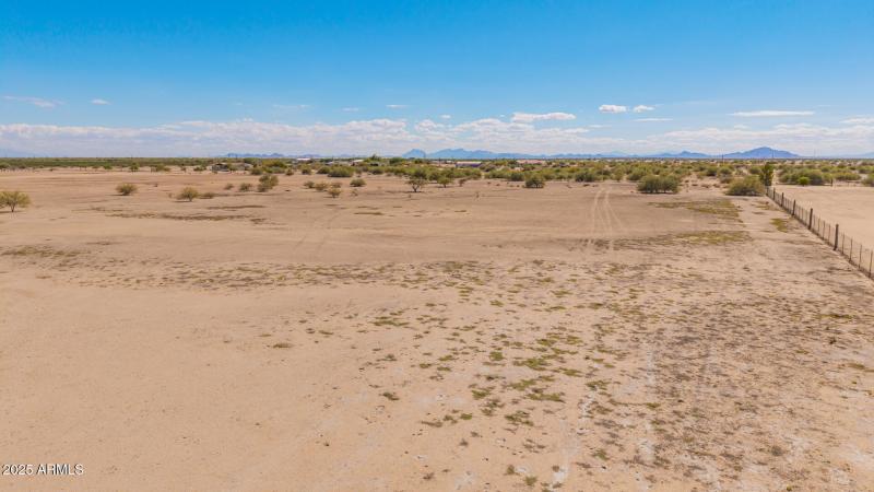 11 - 0 Pepper Tree Drone