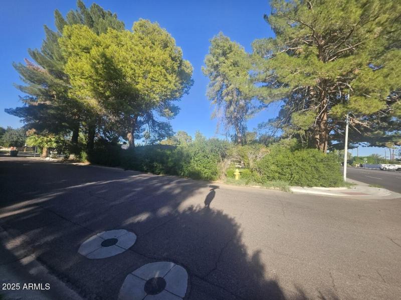 City curb view