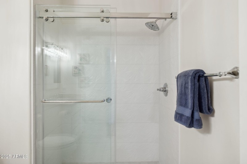 Guest Walk-in Shower