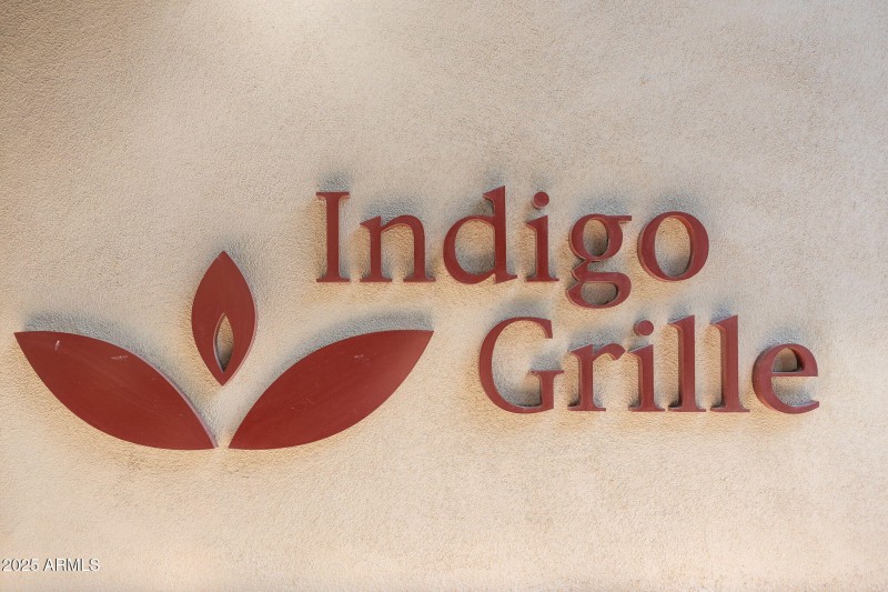 Sun City Festival - 48