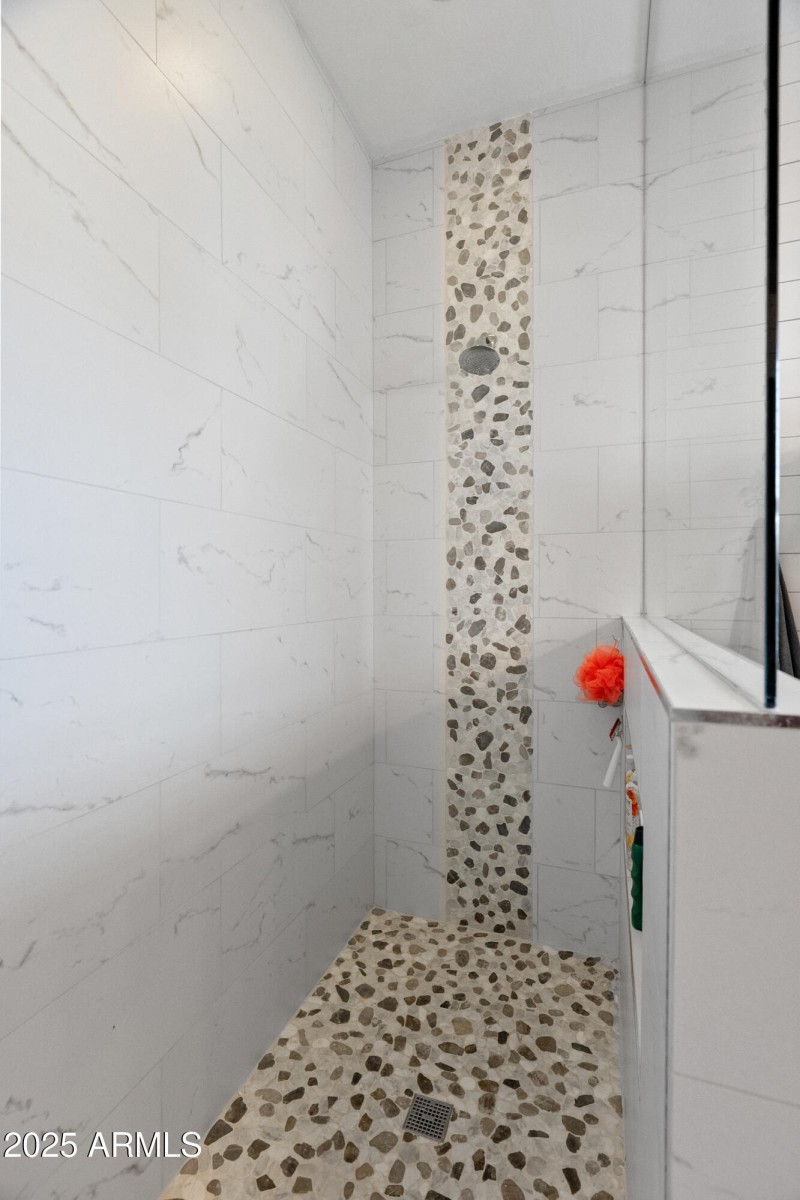 primary bathroom show