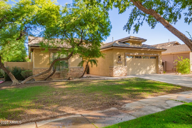 Higley Groves N/S Lot Exterior