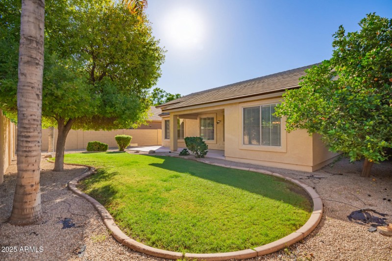 “Low-Maintenance Backyard”