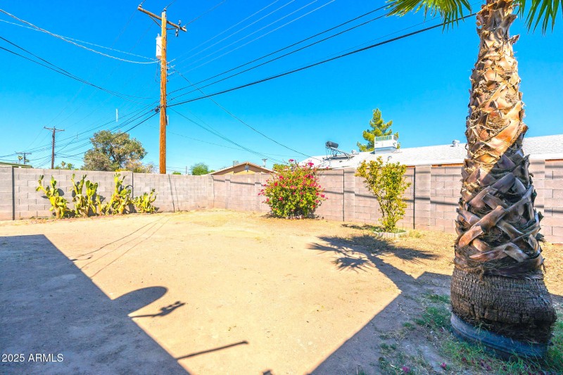 41-web-or-mls-55th-41