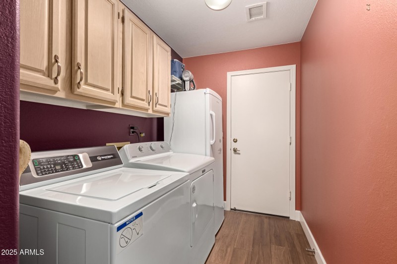 30 - Mountain Laurel