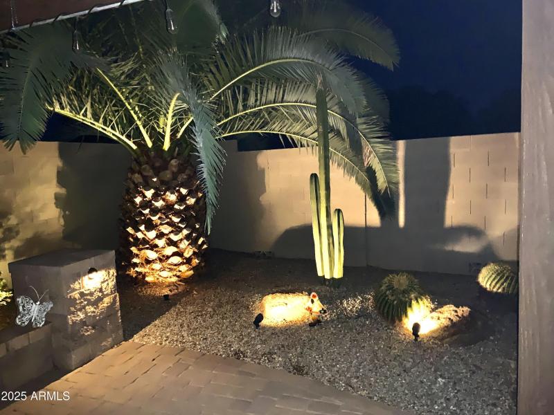 Evening Landscape View