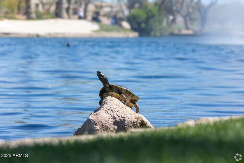 786B8BA7-B656-4377-BDA3-1036F21D0EC8