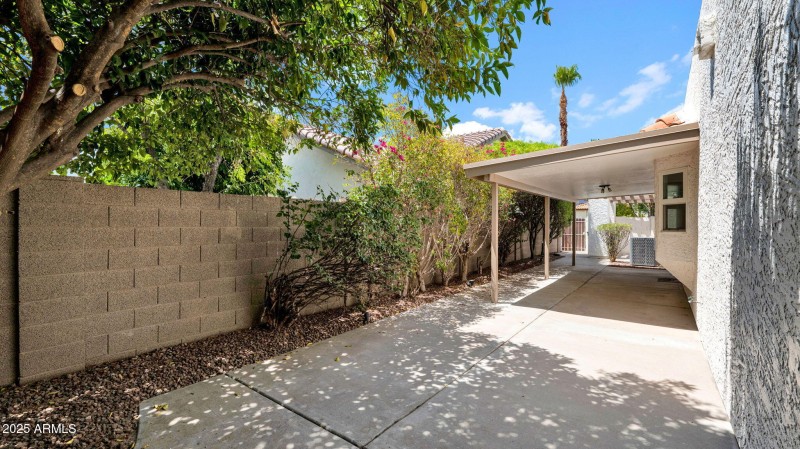 49-web-or-mls-P1119640
