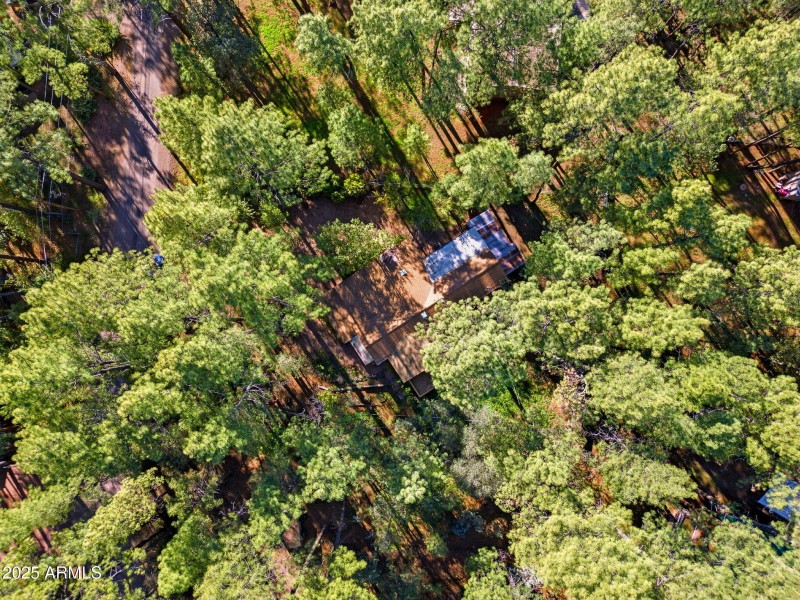 5094MarysWay-PineAZ-32