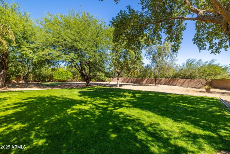 Lots of lush greenery