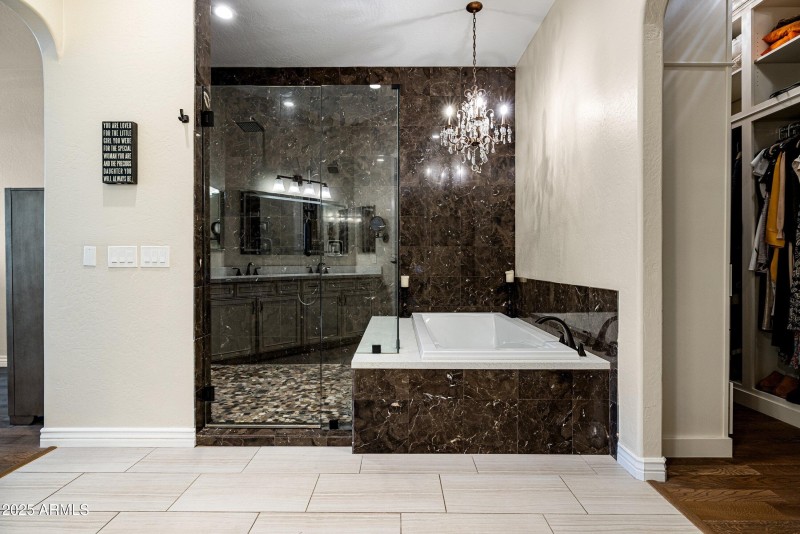 Master Shower and Bathtub