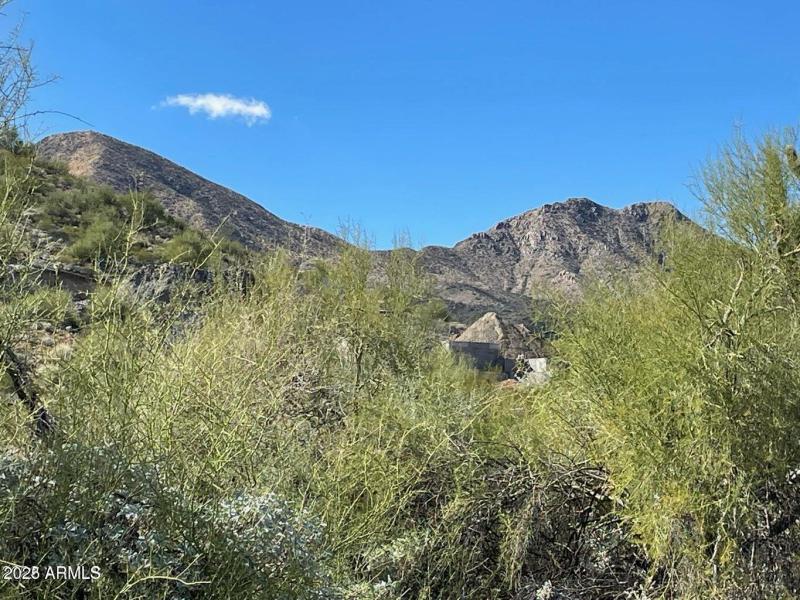 McDowell views
