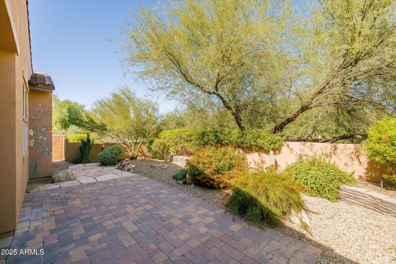 Backyard Oasis
