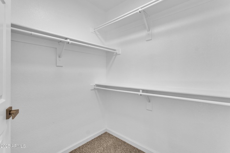 41_img_3253